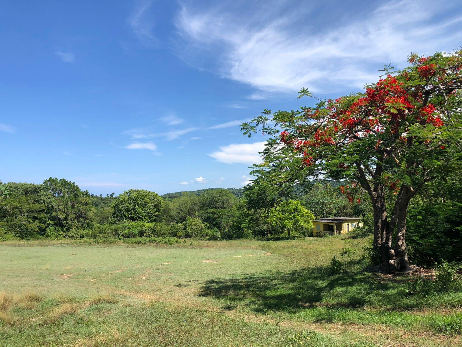 Fourteenth image of 88- Mahogany Hill Homes, in Chester, St. Ann, Jamaica - property is For Sale