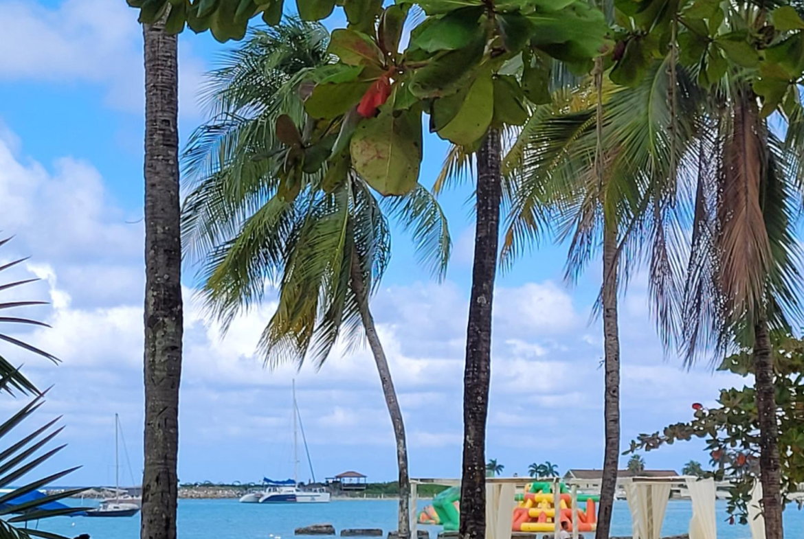 Twenty-Third image of C10- Main Street in Ocho Rios, St. Ann, Jamaica - property is For Sale