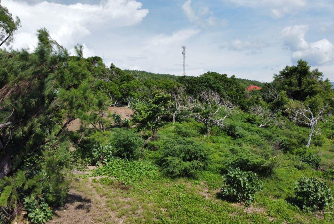 Eleventh image of Billys Bay Treasure Beach in Treasure Beach, St. Elizabeth, Jamaica - property is For Sale