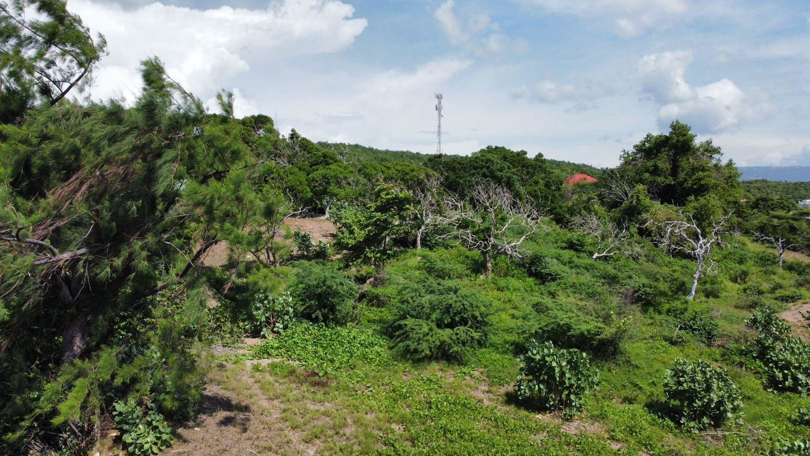 Eleventh image of Billys Bay Treasure Beach in Treasure Beach, St. Elizabeth, Jamaica - property is For Sale