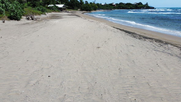 Fifteenth image of Billys Bay Treasure Beach in Treasure Beach, St. Elizabeth, Jamaica - property is For Sale