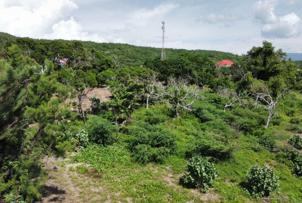 Sixteenth image of Billys Bay Treasure Beach in Treasure Beach, St. Elizabeth, Jamaica - property is For Sale