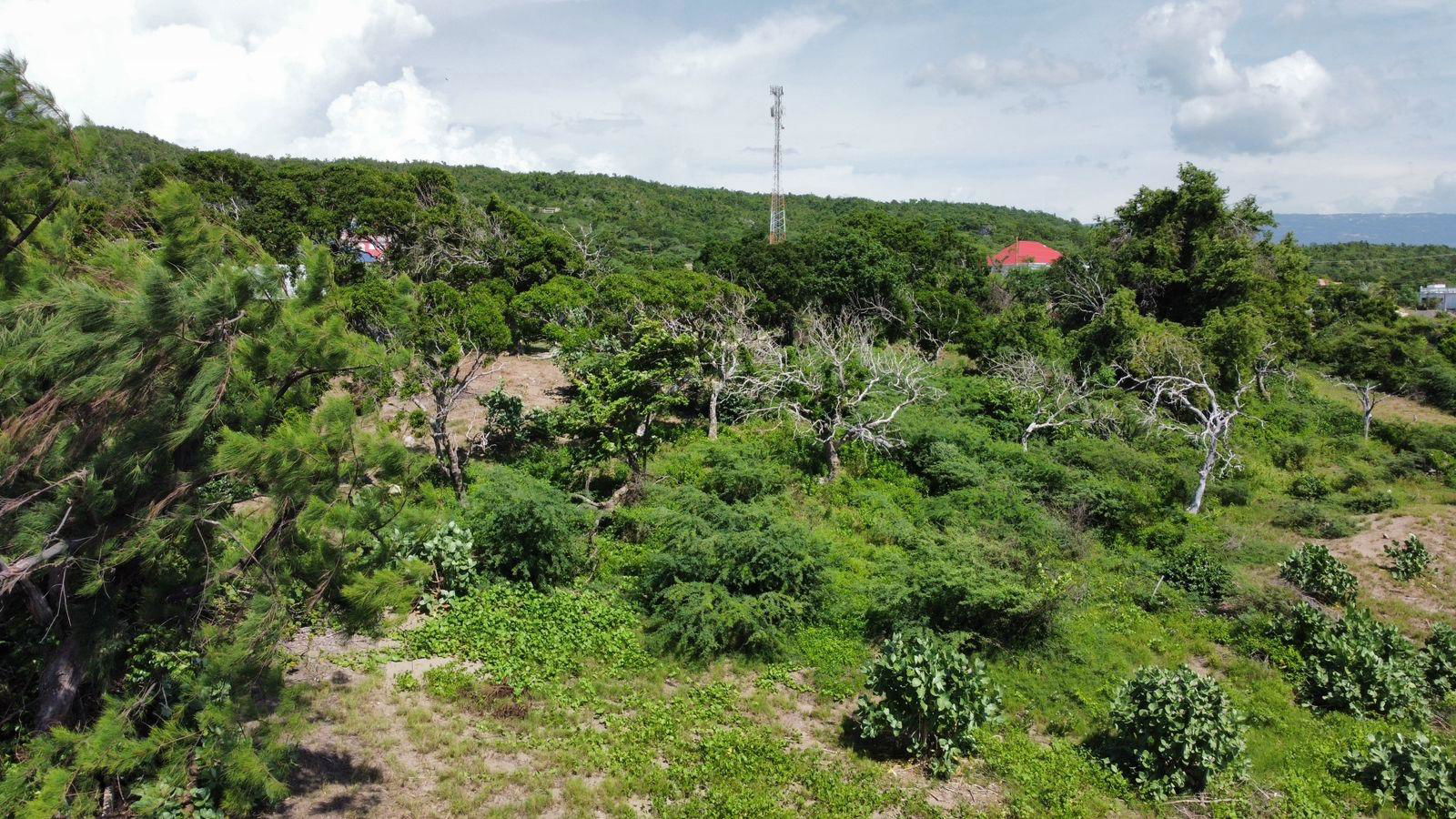 Sixteenth image of Billys Bay Treasure Beach in Treasure Beach, St. Elizabeth, Jamaica - property is For Sale
