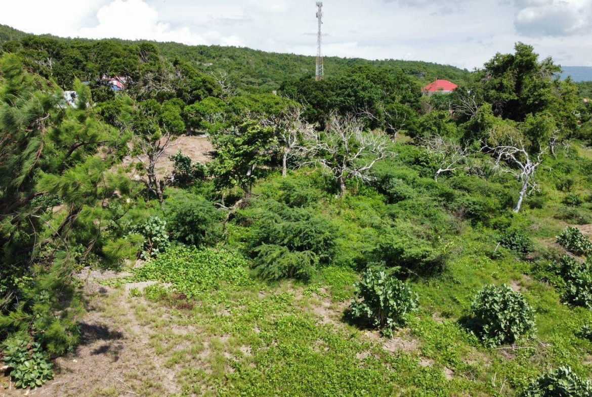 Seventeenth image of Billys Bay Treasure Beach in Treasure Beach, St. Elizabeth, Jamaica - property is For Sale