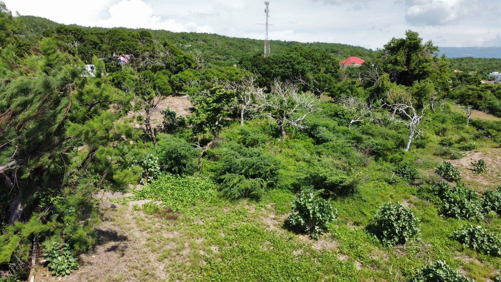 Seventeenth image of Billys Bay Treasure Beach in Treasure Beach, St. Elizabeth, Jamaica - property is For Sale