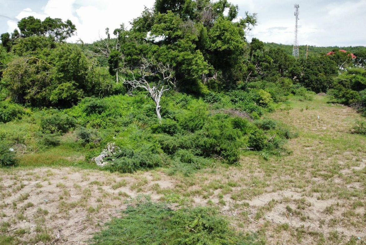 Twenty-Eighth image of Billys Bay Treasure Beach in Treasure Beach, St. Elizabeth, Jamaica - property is For Sale