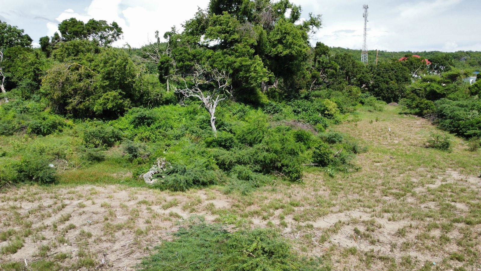 Twenty-Eighth image of Billys Bay Treasure Beach in Treasure Beach, St. Elizabeth, Jamaica - property is For Sale
