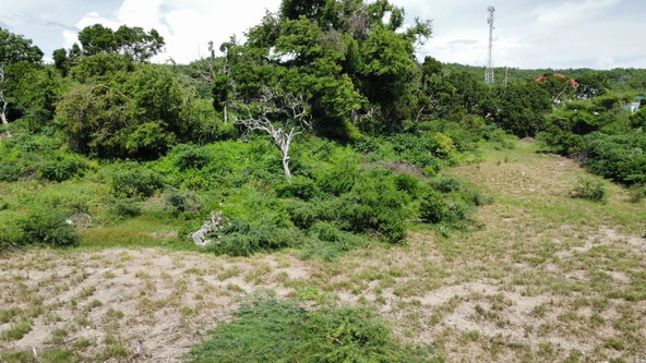 Twenty-Eighth image of Billys Bay Treasure Beach in Treasure Beach, St. Elizabeth, Jamaica - property is For Sale