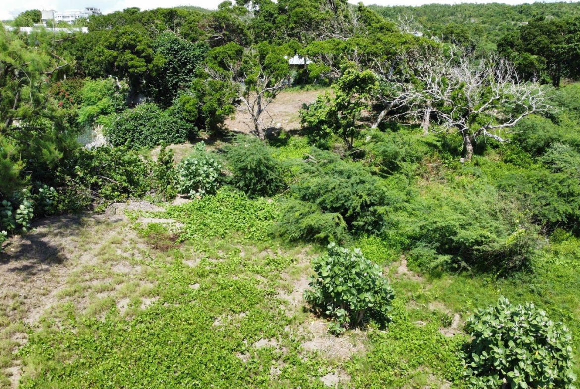 Twenty-Ninth image of Billys Bay Treasure Beach in Treasure Beach, St. Elizabeth, Jamaica - property is For Sale
