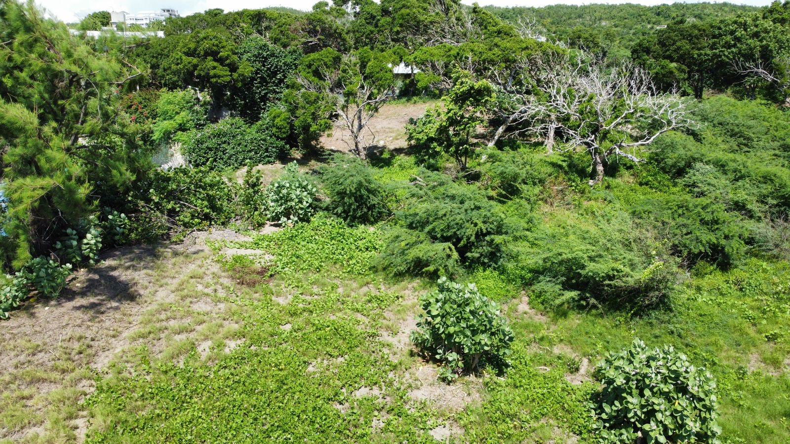 Twenty-Ninth image of Billys Bay Treasure Beach in Treasure Beach, St. Elizabeth, Jamaica - property is For Sale