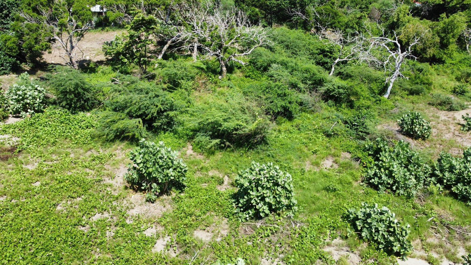 Thirtieth image of Billys Bay Treasure Beach in Treasure Beach, St. Elizabeth, Jamaica - property is For Sale