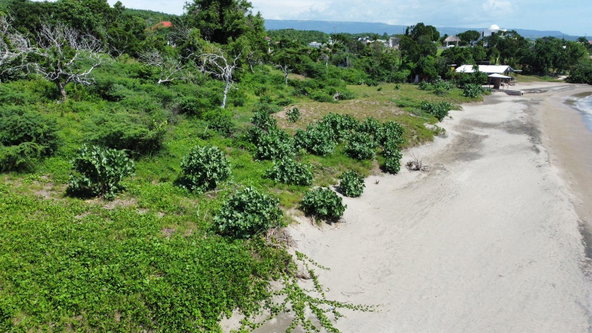 Fourth image of Billys Bay Treasure Beach in Treasure Beach, St. Elizabeth, Jamaica - property is For Sale