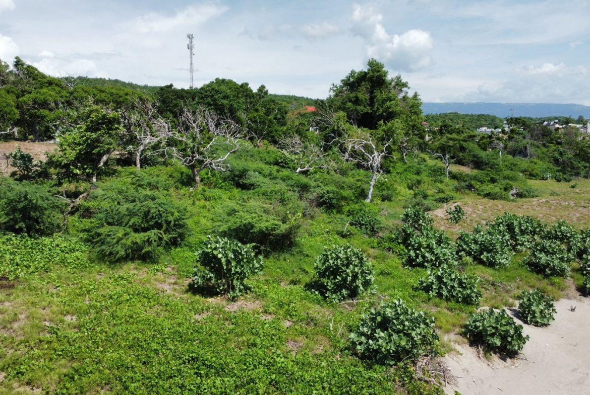 Ninth image of Billys Bay Treasure Beach in Treasure Beach, St. Elizabeth, Jamaica - property is For Sale