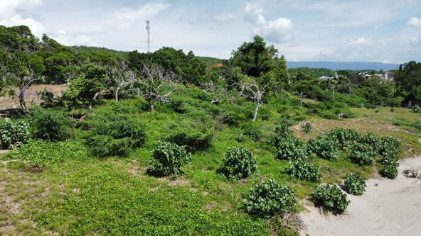 Ninth image of Billys Bay Treasure Beach in Treasure Beach, St. Elizabeth, Jamaica - property is For Sale