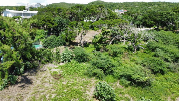 Tenth image of Billys Bay Treasure Beach in Treasure Beach, St. Elizabeth, Jamaica - property is For Sale