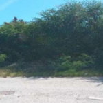 First image of Wicki Wacki Drive in Bull Bay P.O., St. Andrew, Jamaica - property is For Sale