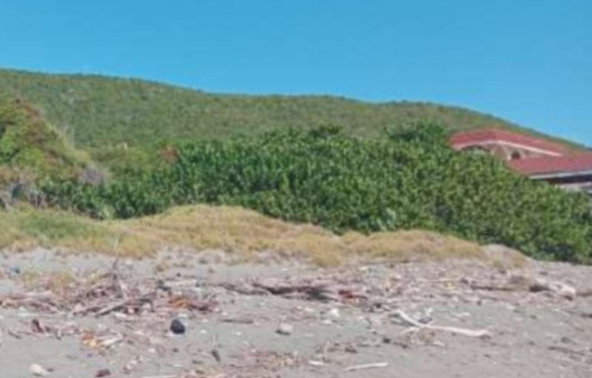 Third image of Wicki Wacki Drive in Bull Bay P.O., St. Andrew, Jamaica - property is For Sale