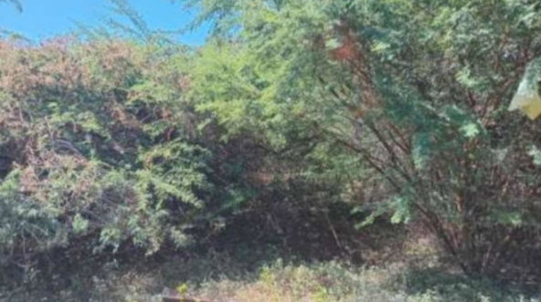Fourth image of Wicki Wacki Drive in Bull Bay P.O., St. Andrew, Jamaica - property is For Sale