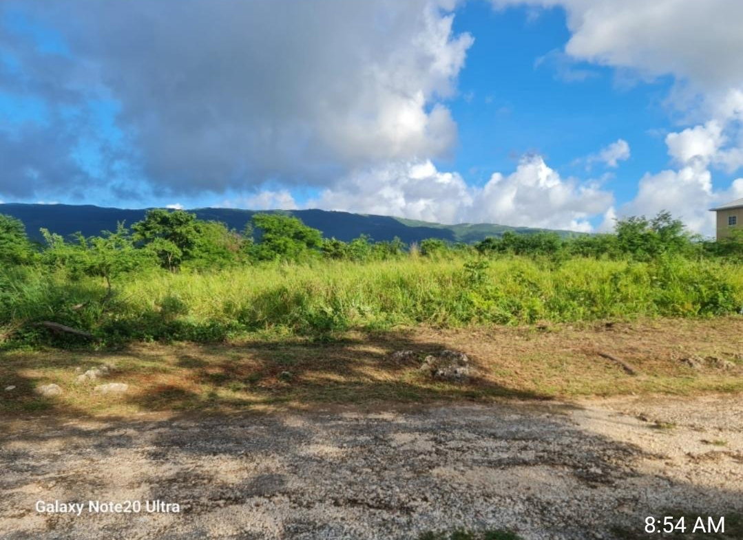 First image of Lititz Part of Essex Vall in Lititz Pen, St. Elizabeth, Jamaica - property is For Sale