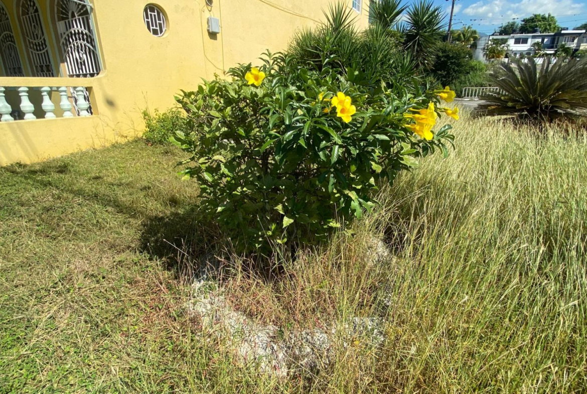 Seventeenth image of 7 Birch Way in Kingston 6, St. Andrew, Jamaica - property is For Sale