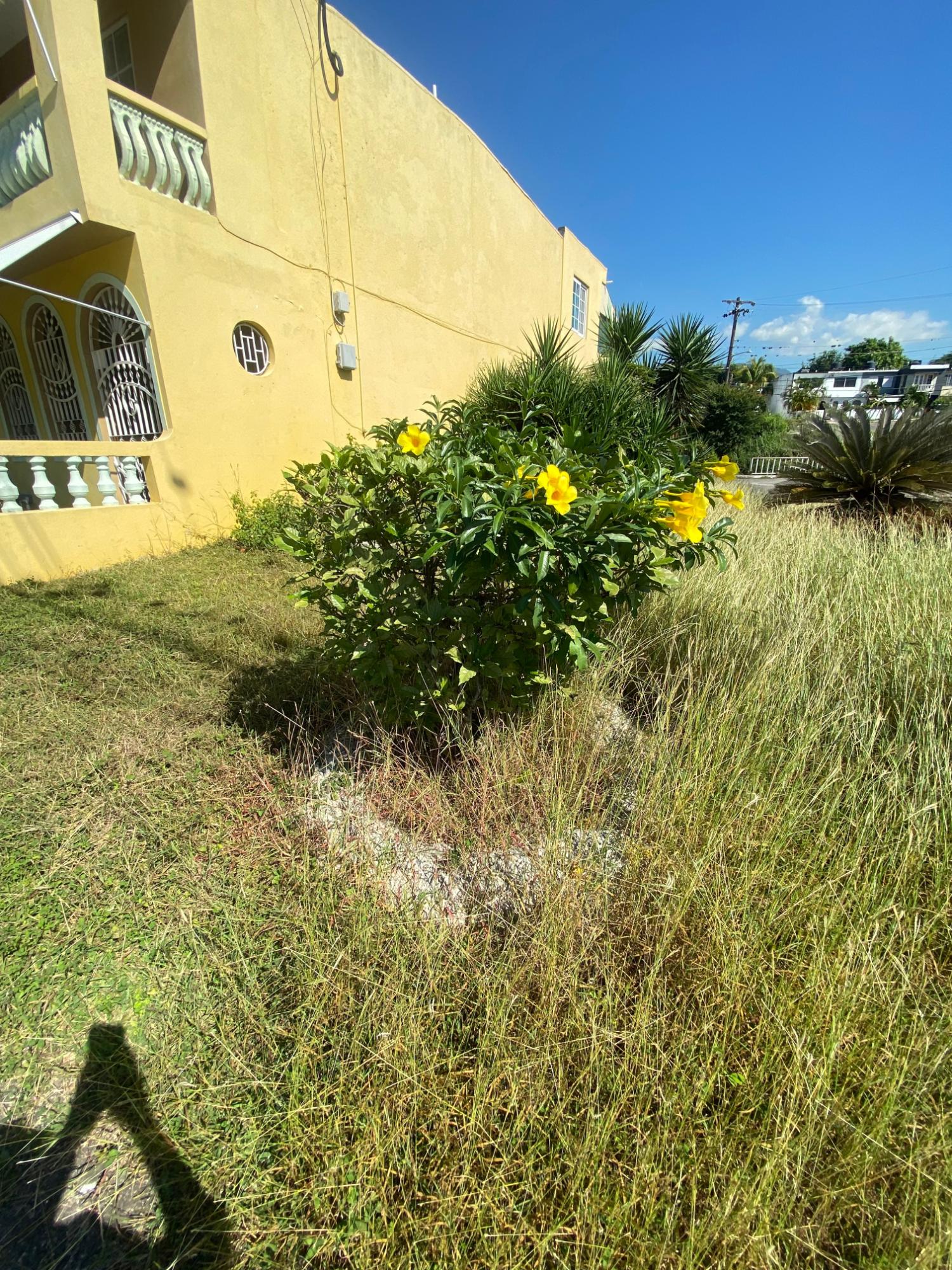 Beautifully-Renovated-Townhouse-for-Sale-in-Jamaica-St.-Andrew Seventeenth image of 7 Birch Way in Kingston 6, St. Andrew, Jamaica - property is For Sale