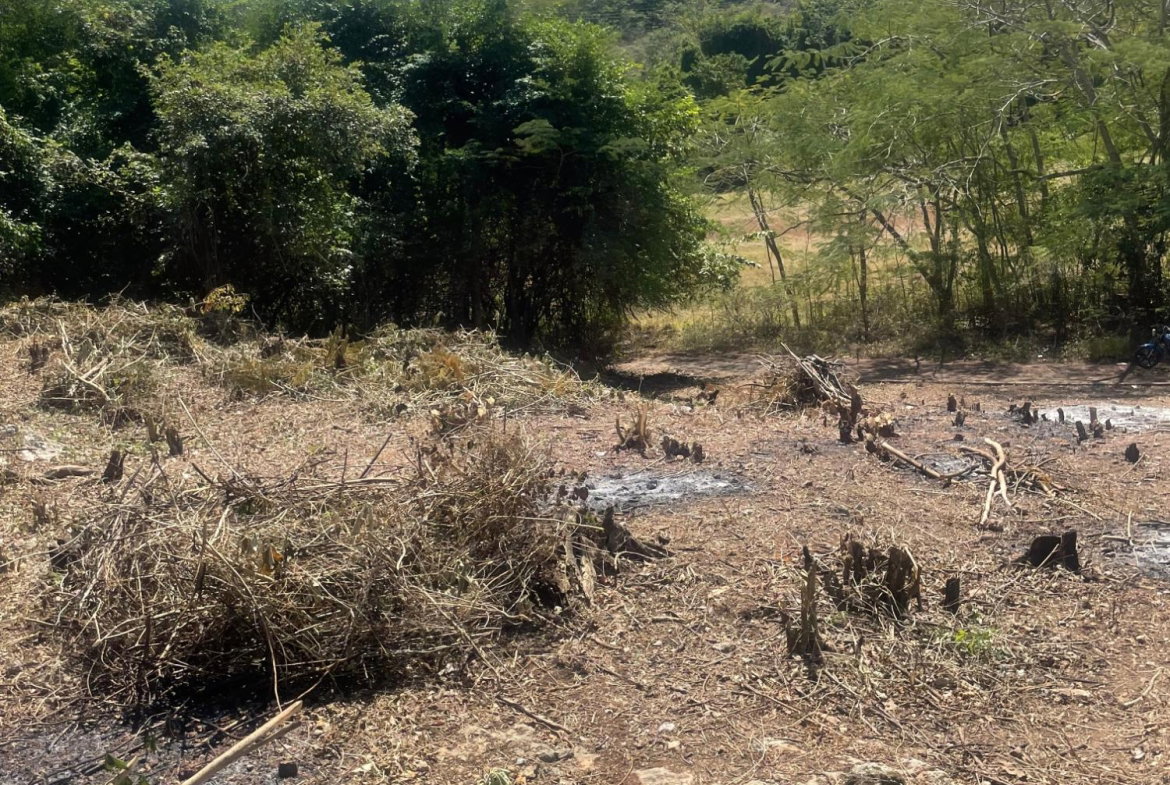 Eleventh image of Lot 6 Pedro Pen (bulls Bay) in Pedro Pen, Hanover, Jamaica - property is For Sale