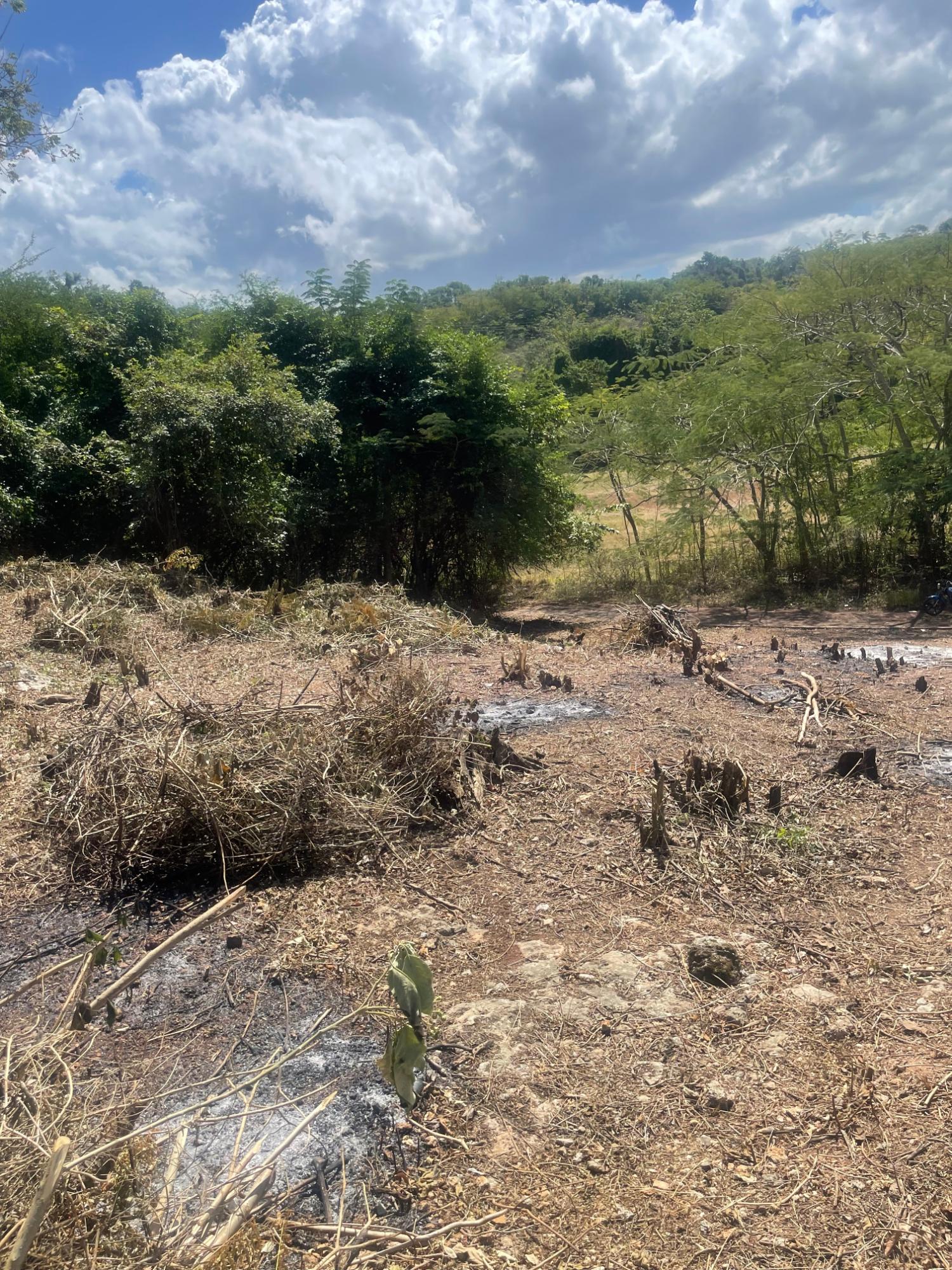 Build-Your-Dream-Home-Near-Bulls-Bay-Beach-Lot-6-Pedro-Pen-Jamaica Eleventh image of Lot 6 Pedro Pen (bulls Bay) in Pedro Pen, Hanover, Jamaica - property is For Sale