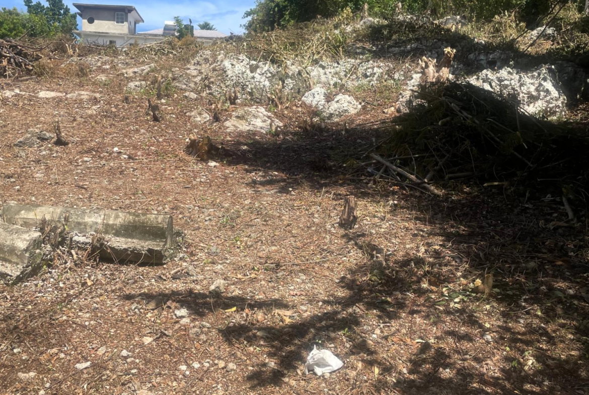 Twelfth image of Lot 6 Pedro Pen (bulls Bay) in Pedro Pen, Hanover, Jamaica - property is For Sale
