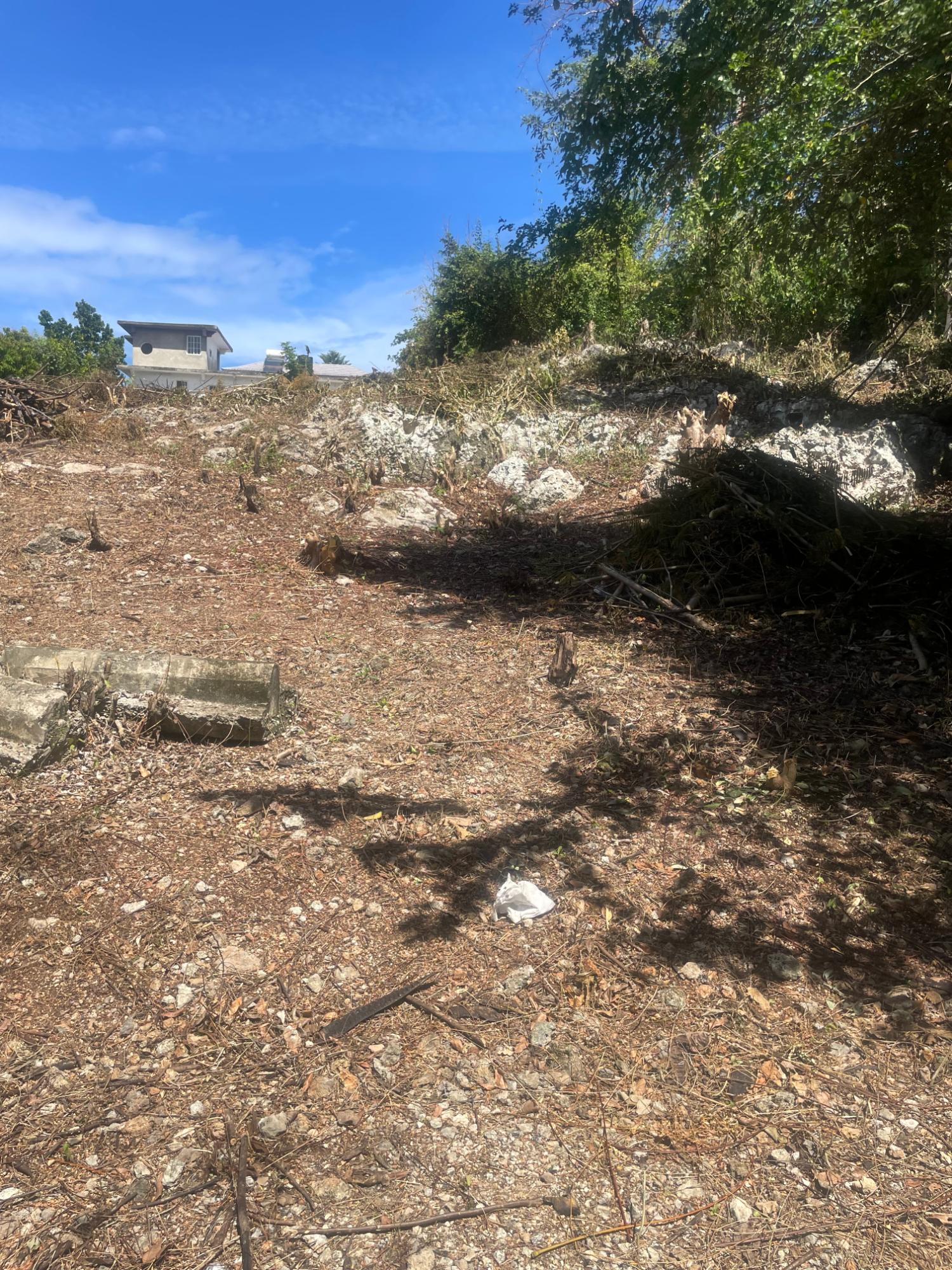 Build-Your-Dream-Home-Near-Bulls-Bay-Beach-Lot-6-Pedro-Pen-Jamaica Twelfth image of Lot 6 Pedro Pen (bulls Bay) in Pedro Pen, Hanover, Jamaica - property is For Sale