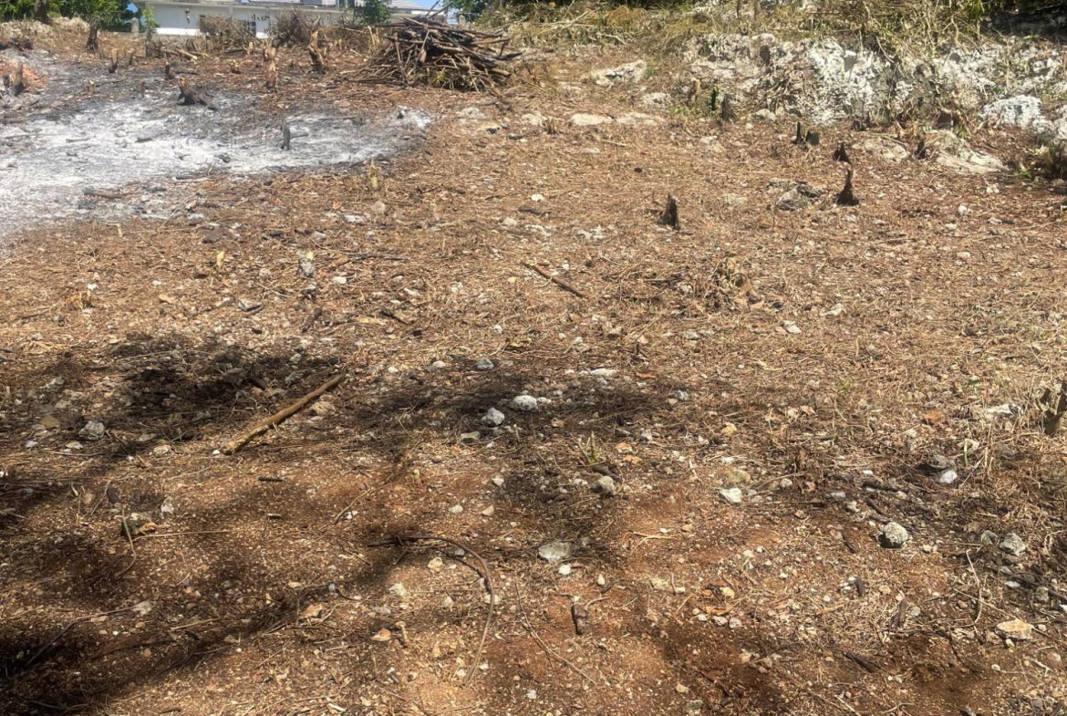 Thirteenth image of Lot 6 Pedro Pen (bulls Bay) in Pedro Pen, Hanover, Jamaica - property is For Sale