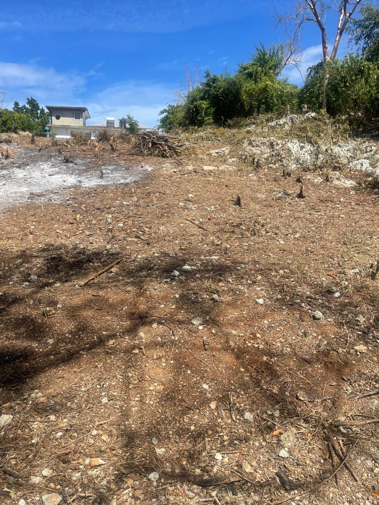 Build-Your-Dream-Home-Near-Bulls-Bay-Beach-Lot-6-Pedro-Pen-Jamaica Thirteenth image of Lot 6 Pedro Pen (bulls Bay) in Pedro Pen, Hanover, Jamaica - property is For Sale