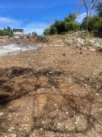 Thirteenth image of Lot 6 Pedro Pen (bulls Bay) in Pedro Pen, Hanover, Jamaica - property is For Sale