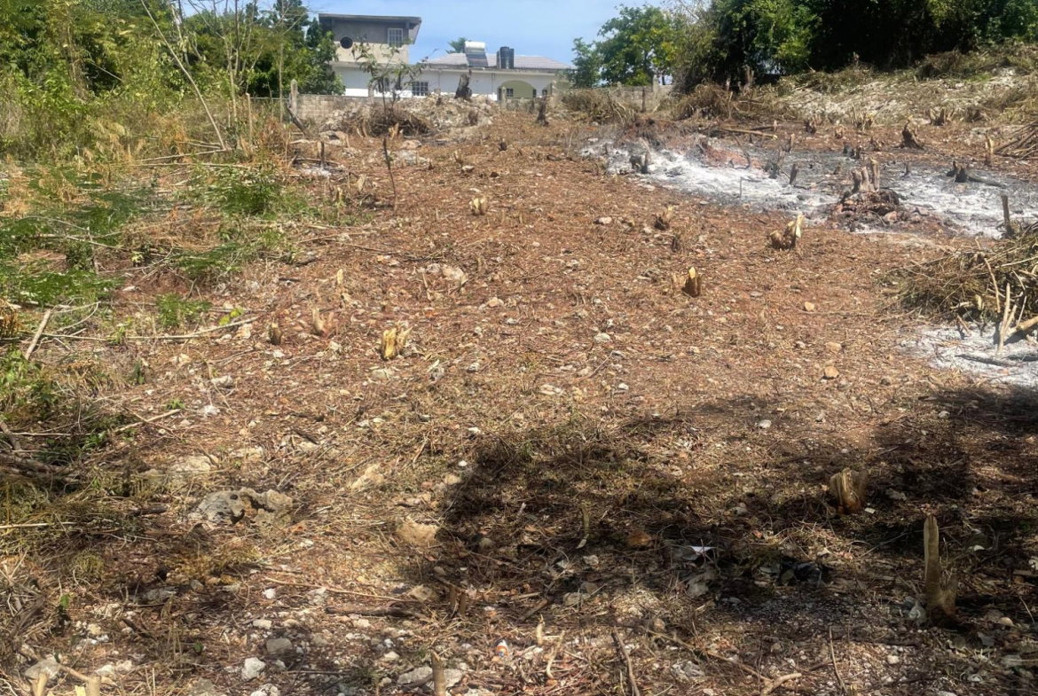 Fourteenth image of Lot 6 Pedro Pen (bulls Bay) in Pedro Pen, Hanover, Jamaica - property is For Sale
