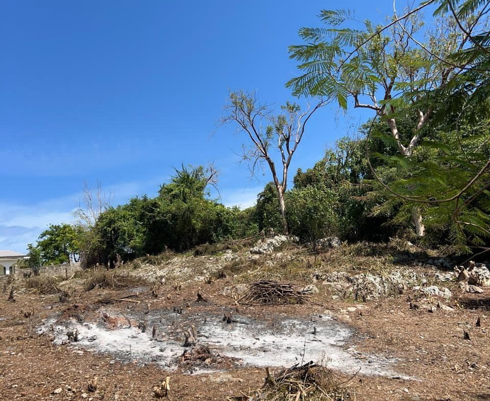 Fifteenth image of Lot 6 Pedro Pen (bulls Bay) in Pedro Pen, Hanover, Jamaica - property is For Sale