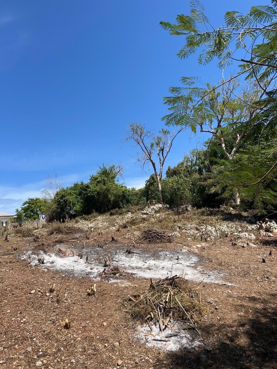 Build-Your-Dream-Home-Near-Bulls-Bay-Beach-Lot-6-Pedro-Pen-Jamaica Fifteenth image of Lot 6 Pedro Pen (bulls Bay) in Pedro Pen, Hanover, Jamaica - property is For Sale
