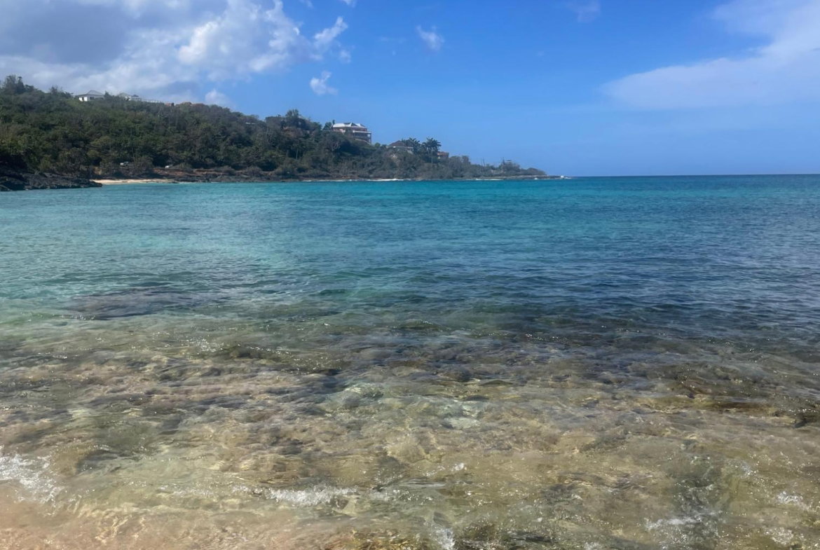 Third image of Lot 6 Pedro Pen (bulls Bay) in Pedro Pen, Hanover, Jamaica - property is For Sale