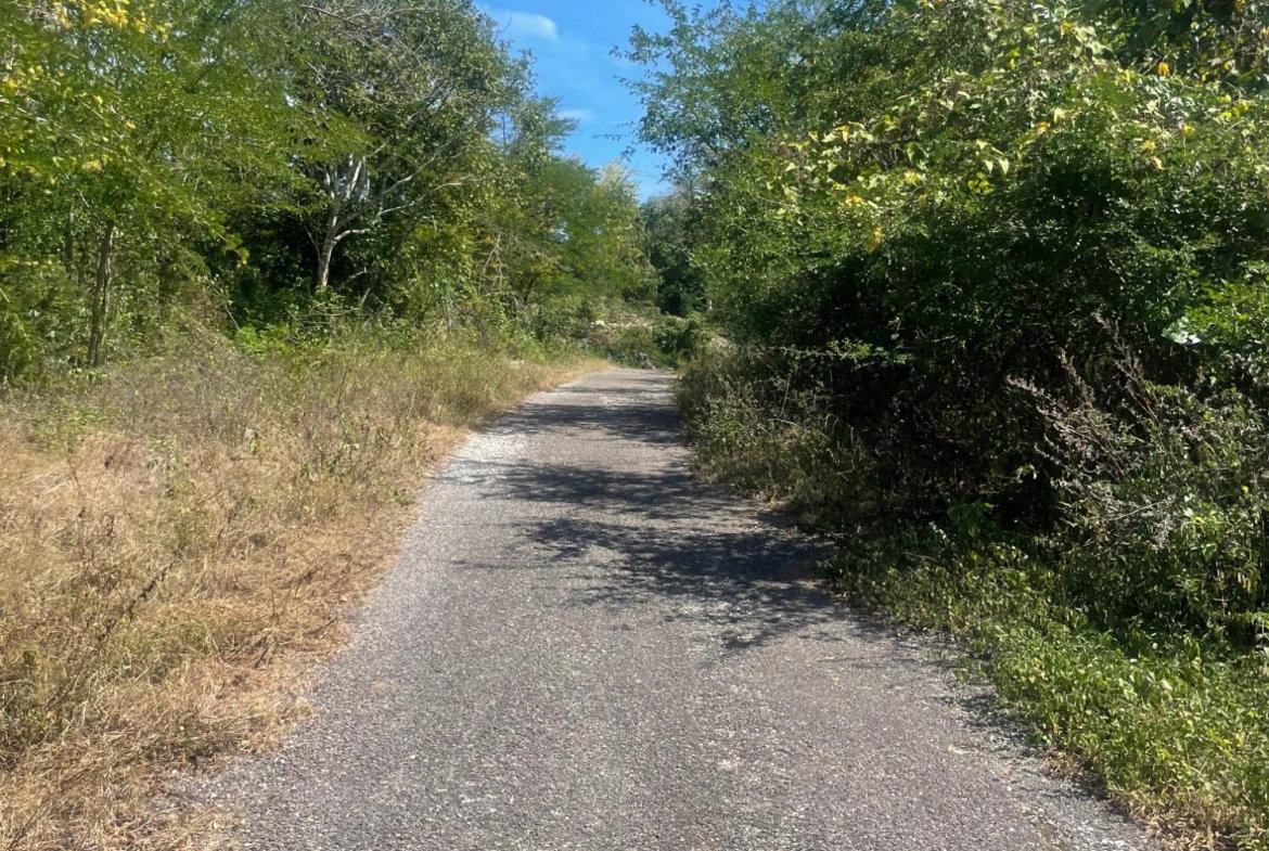 Fifth image of Lot 6 Pedro Pen (bulls Bay) in Pedro Pen, Hanover, Jamaica - property is For Sale