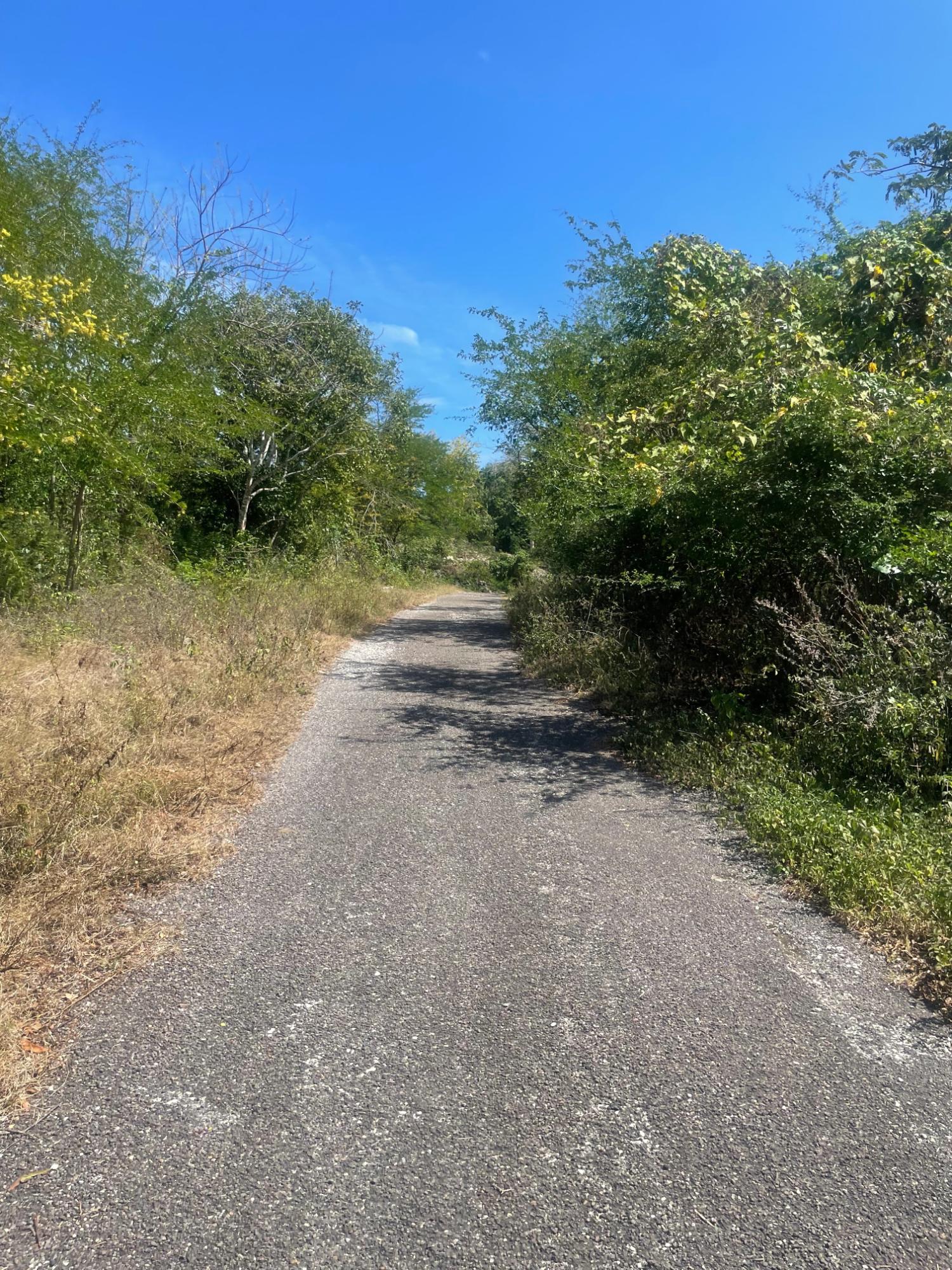 Build-Your-Dream-Home-Near-Bulls-Bay-Beach-Lot-6-Pedro-Pen-Jamaica Fifth image of Lot 6 Pedro Pen (bulls Bay) in Pedro Pen, Hanover, Jamaica - property is For Sale