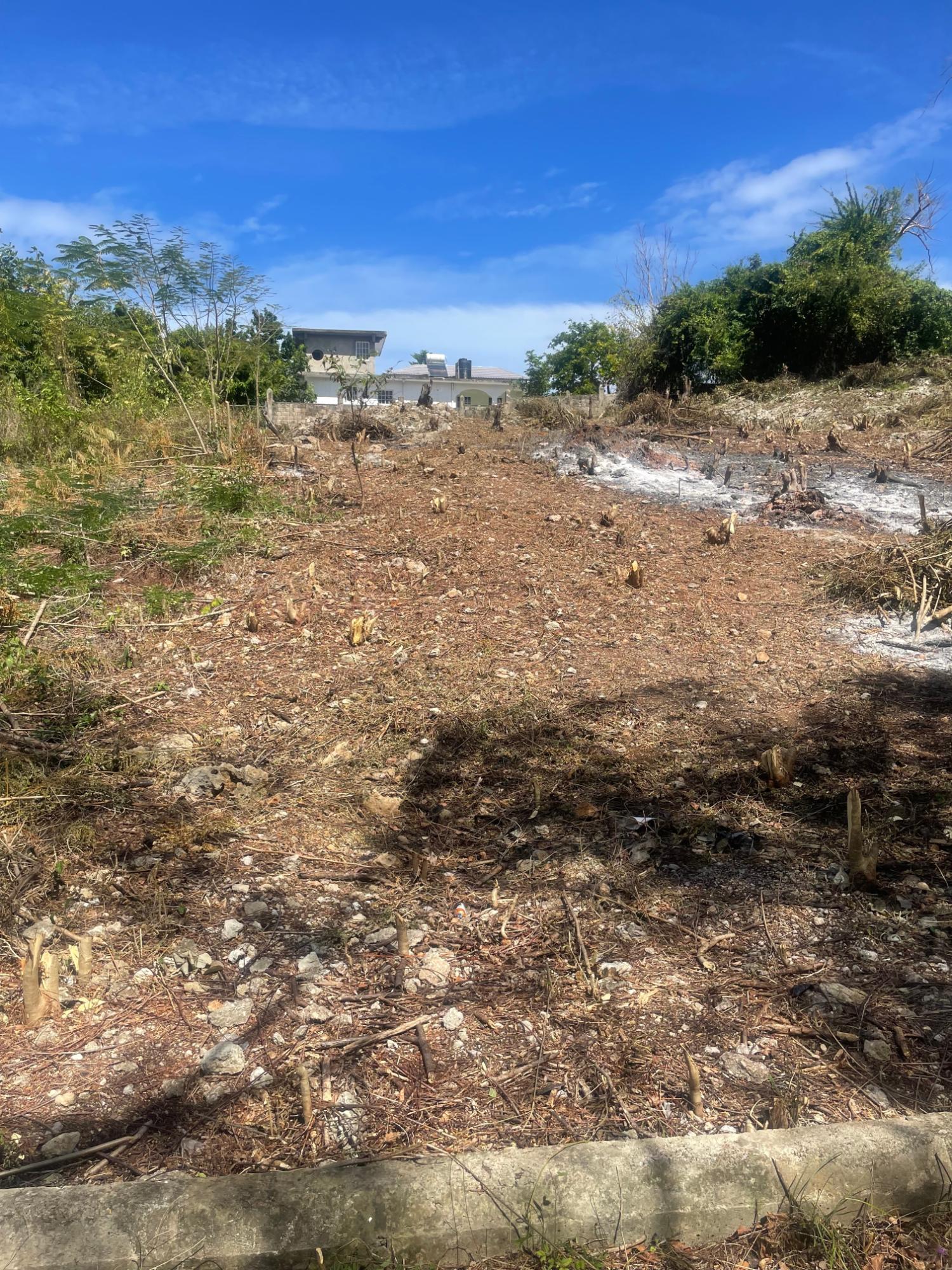 Build-Your-Dream-Home-Near-Bulls-Bay-Beach-Lot-6-Pedro-Pen-Jamaica Sixth image of Lot 6 Pedro Pen (bulls Bay) in Pedro Pen, Hanover, Jamaica - property is For Sale