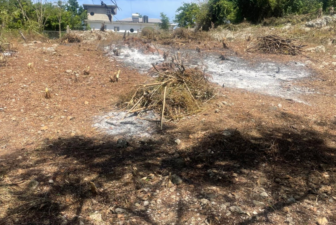 Eighth image of Lot 6 Pedro Pen (bulls Bay) in Pedro Pen, Hanover, Jamaica - property is For Sale