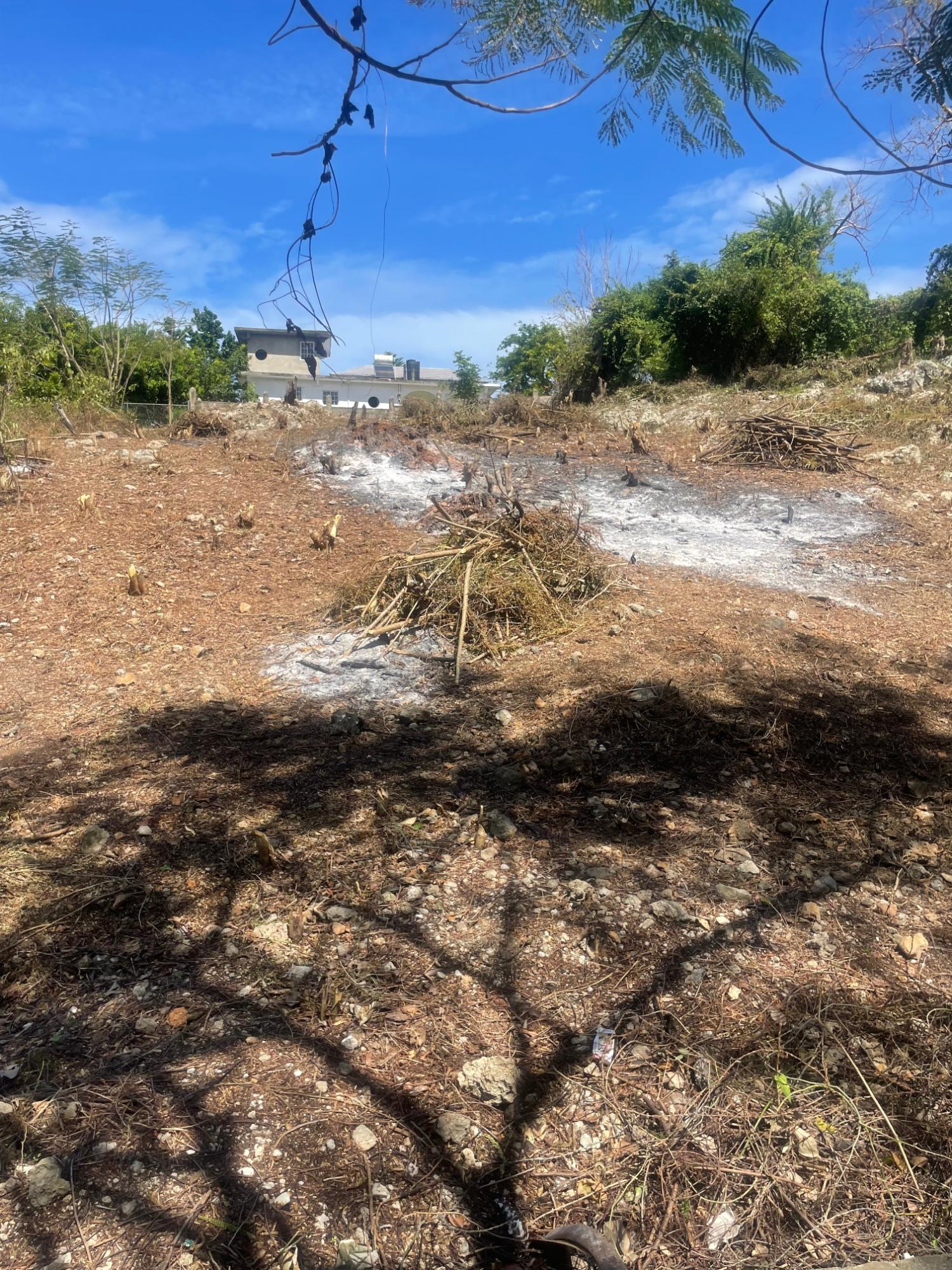 Build-Your-Dream-Home-Near-Bulls-Bay-Beach-Lot-6-Pedro-Pen-Jamaica Eighth image of Lot 6 Pedro Pen (bulls Bay) in Pedro Pen, Hanover, Jamaica - property is For Sale