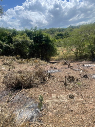 Tenth image of Lot 6 Pedro Pen (bulls Bay) in Pedro Pen, Hanover, Jamaica - property is For Sale