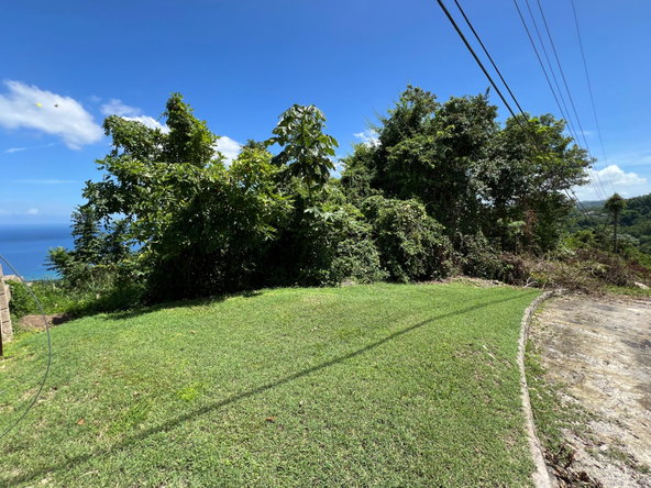 Twentieth image of Lot 21 Clarridge Hall in Spring Garden, St. James, Jamaica - property is For Sale