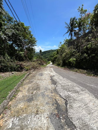 Twenty-Fourth image of Lot 21 Clarridge Hall in Spring Garden, St. James, Jamaica - property is For Sale