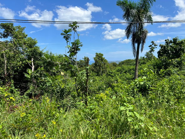 Twenty-Sixth image of Lot 21 Clarridge Hall in Spring Garden, St. James, Jamaica - property is For Sale