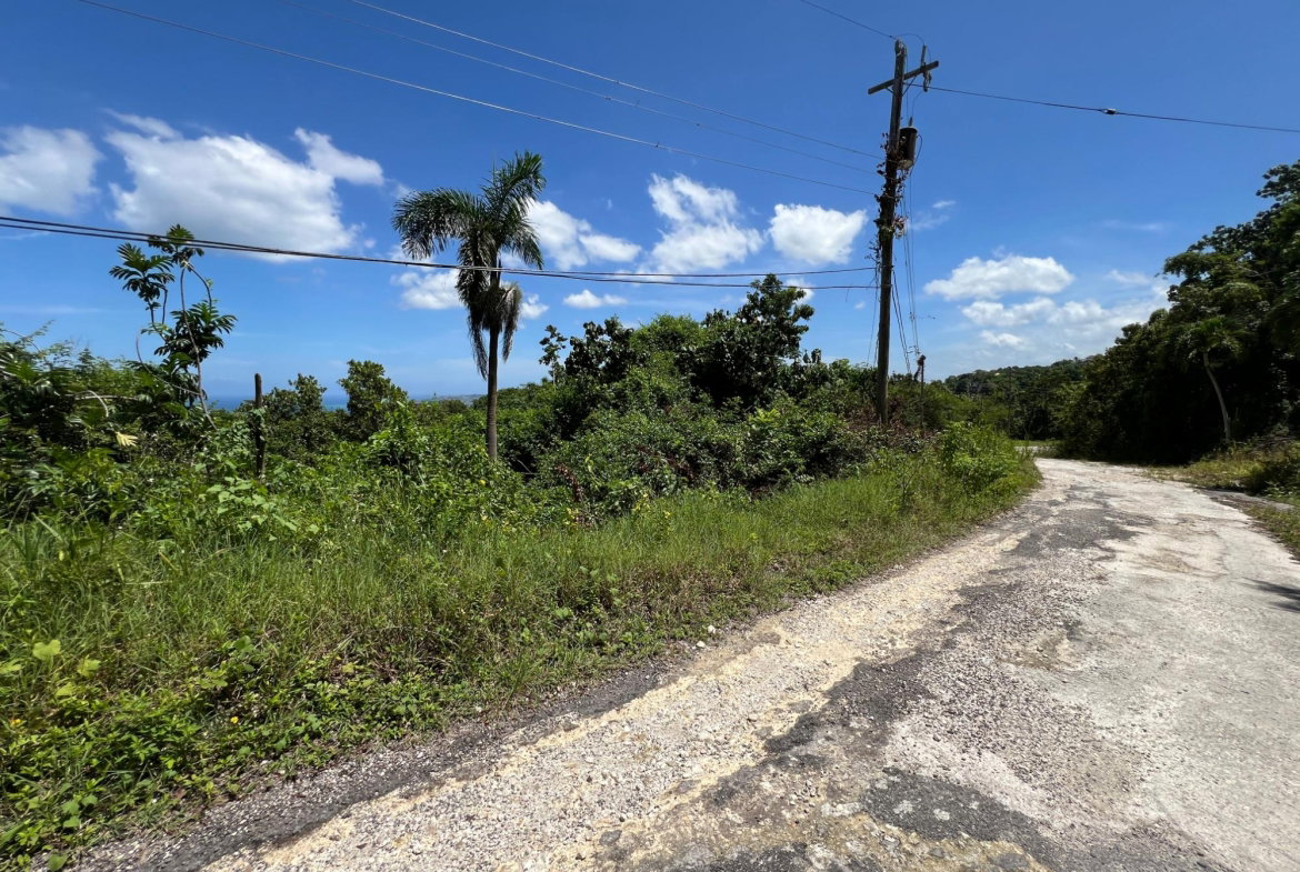 Twenty-Eighth image of Lot 23 Clarridge Hall in Spring Garden, St. James, Jamaica - property is For Sale