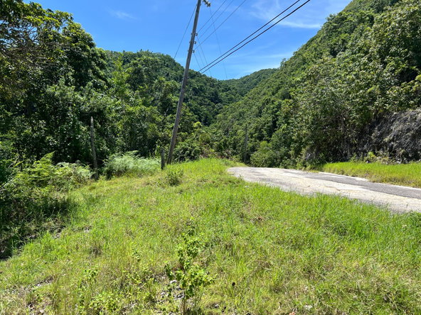 Eighth image of Lot 21 Clarridge Hall in Spring Garden, St. James, Jamaica - property is For Sale