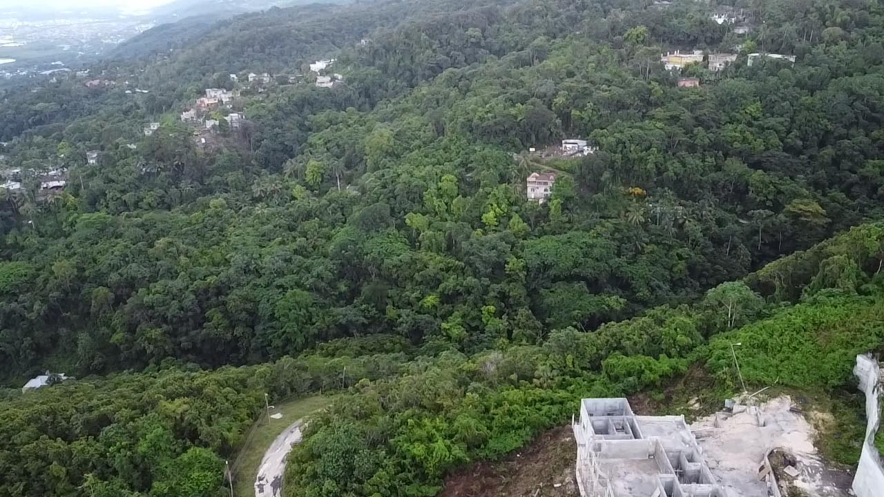 Fifteenth image of Lot 5 Clarridge Hall in Spring Garden, St. James, Jamaica - property is For Sale