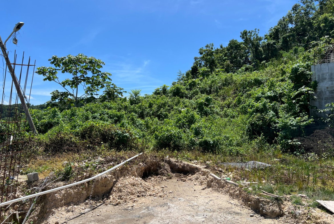 Seventeenth image of Lot 5 Clarridge Hall in Spring Garden, St. James, Jamaica - property is For Sale