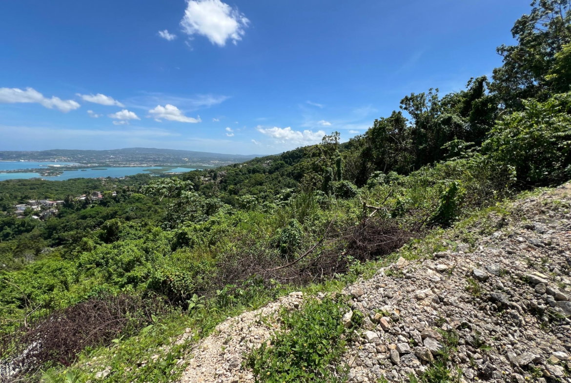 Twenty-First image of Lot 5 Clarridge Hall in Spring Garden, St. James, Jamaica - property is For Sale